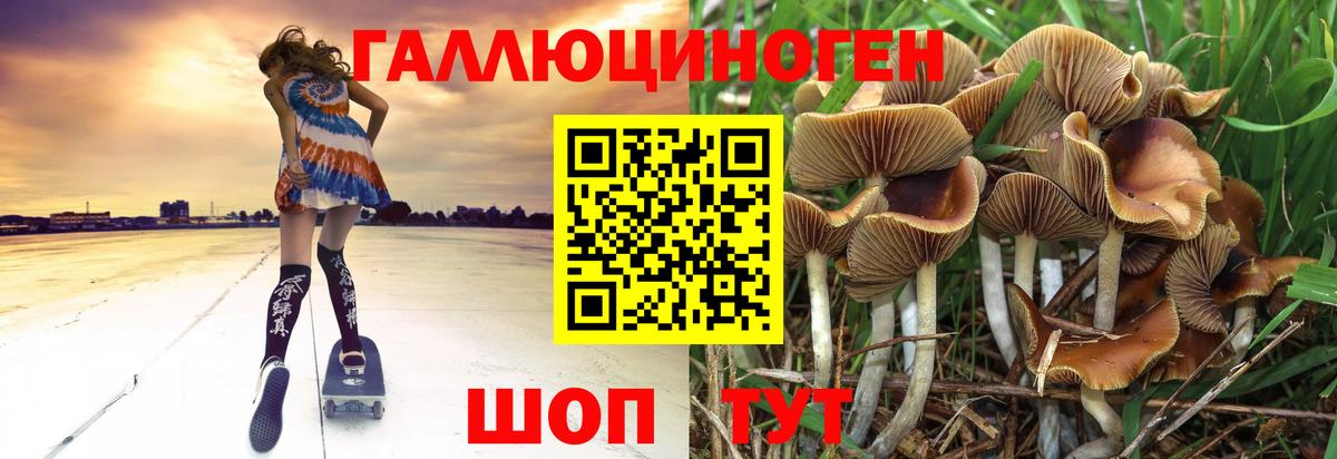 Псилоцибиновые грибы Psilocybe Михайловск