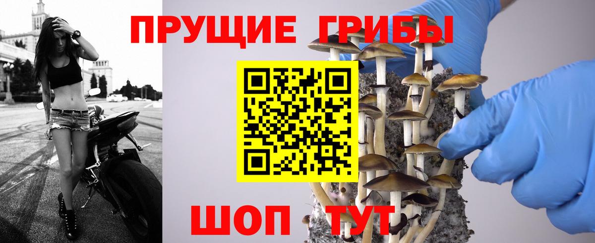 Михайловск  Псилоцибиновые грибы GOLDEN TEACHER  Галлюциногенные грибы MAGIC MUSHROOMS  Вход с VPN 